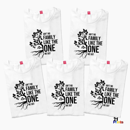 Ain’t No Family Like the One We Got Family Reunion T-Shirt